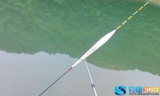 无钩调漂法视频,轻松掌握钓鱼技巧的秘诀解析